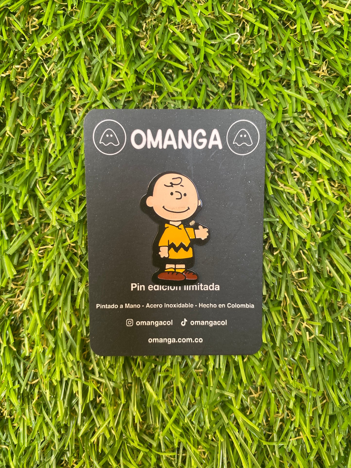 Pin Charlie Brown