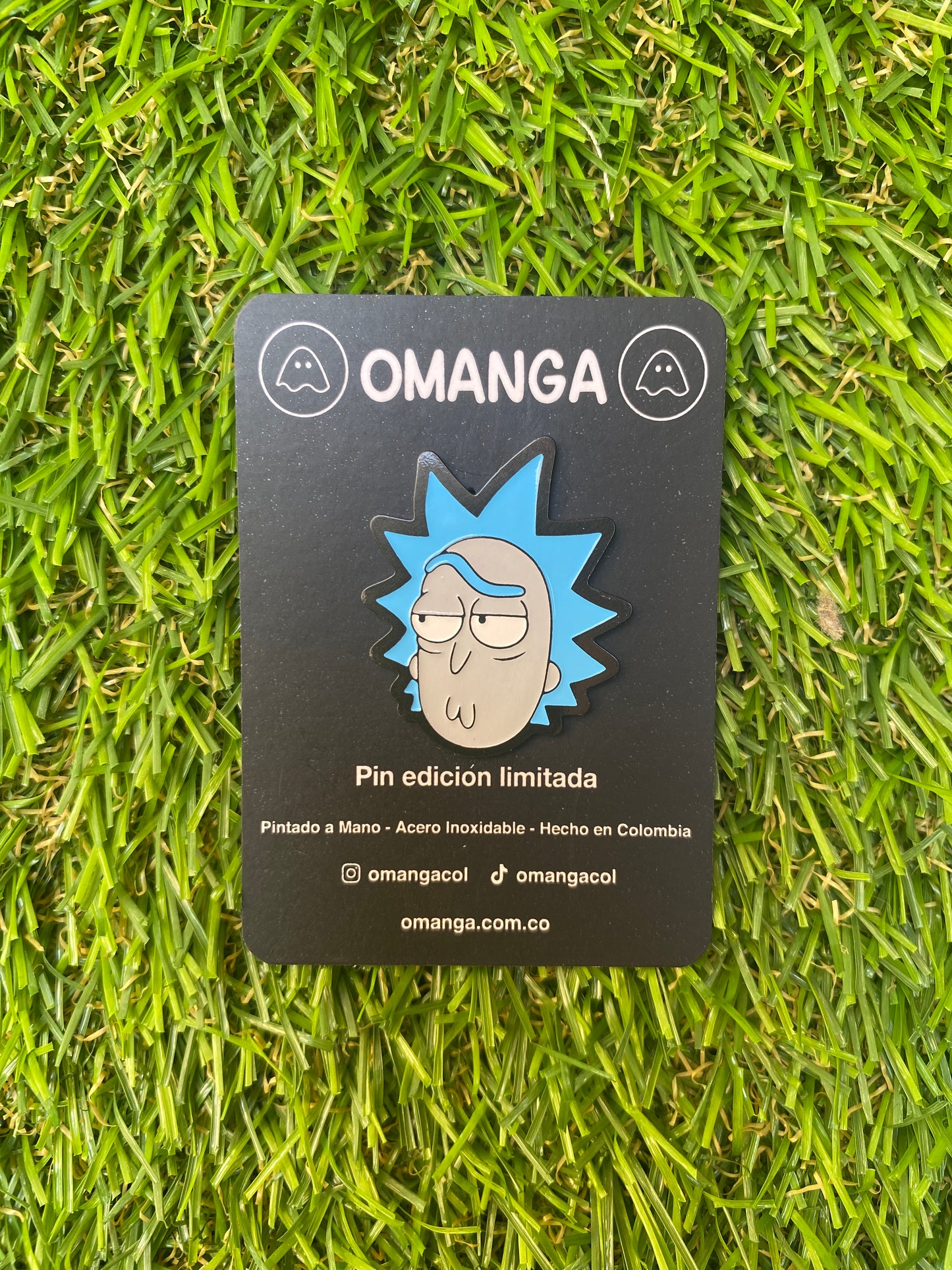 Pin Rick